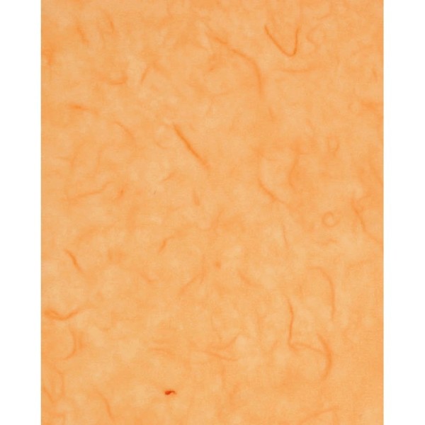Lot de 5 feuilles de Papier de soie en fibres de mûrier, Brun clair, dim. 47 x 64 cm - Photo n°1
