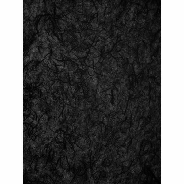 Lot de 4 feuilles de Papier de soie en fibres de mûrier, Noir, dim. 47 x 64 cm - Photo n°1