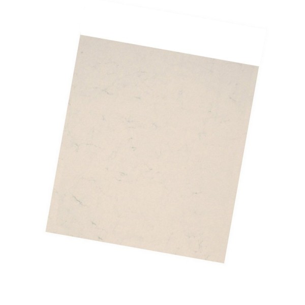 Lot de 7 feuilles de Papier peau d'éléphant Blanc, 30 x 30 cm, 125g/m², idéal pour scrapbooking orig - Photo n°1