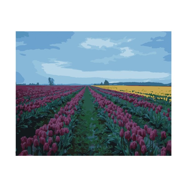 Kit de peinture par numéros - Champ de tulipes - 40x50 cm - Photo n°1