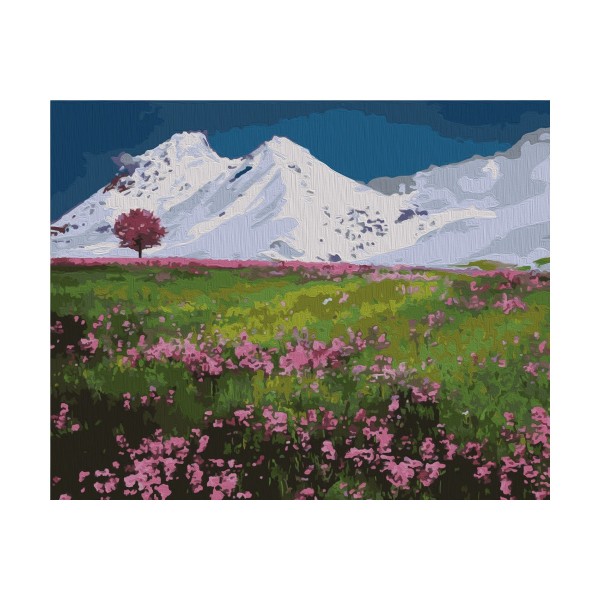 Kit de peinture par numéros - Sommets des montagnes - 40x50 cm - Photo n°1