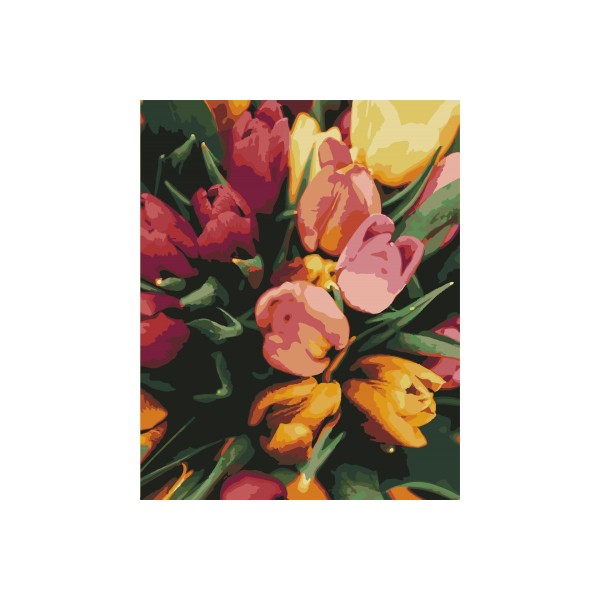 Kit de peinture par numéros - Tulipes tendres - 40x50 cm - Photo n°1