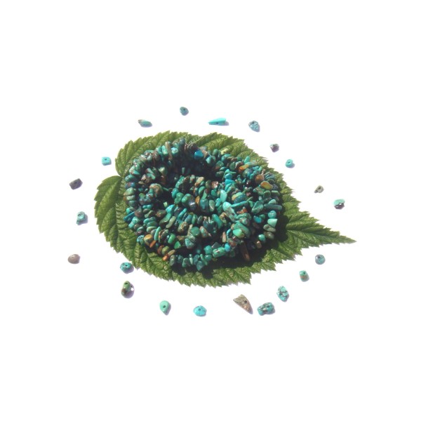 Turquoise naturelle multicolore : 50 chips 6/9 MM de diamètre environ - Photo n°1