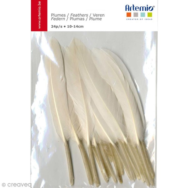 Plumes Indiennes blanches - 12 cm - 24 pcs - Photo n°1