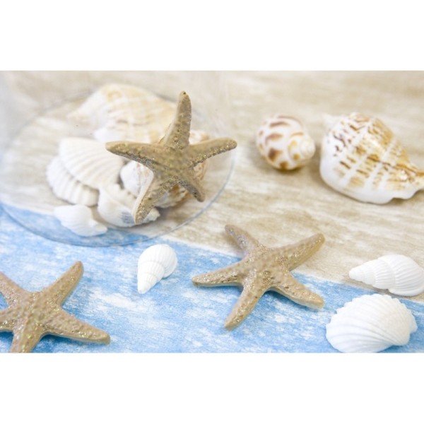 Lot de 4 Étoiles de Mer beiges adhésives, en Résine, dim. 4,5 cm, décoration maritime à coller - Photo n°2
