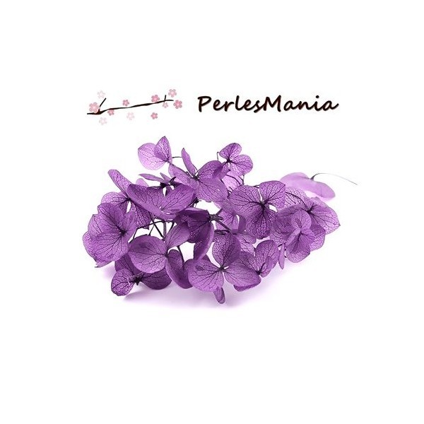 1 Boite de Fleurs seichées Violet pour inclusion de résine, scrapbooking S11104117 - Photo n°1