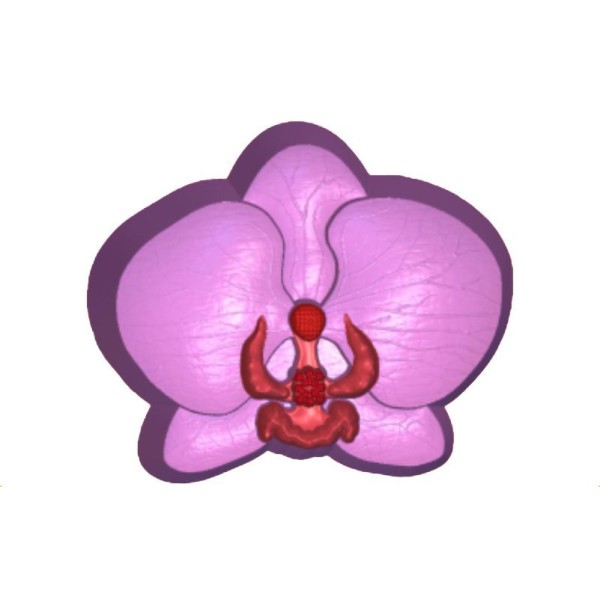 1pc de Fleurs d'Orchidée Yoga Esprit Orienter en Plastique Fabrication de Savon de Cire Chocolat Gyp - Photo n°1