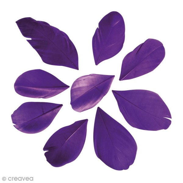 Plumes coupées Violet prune 6 cm - 2 g - Photo n°1