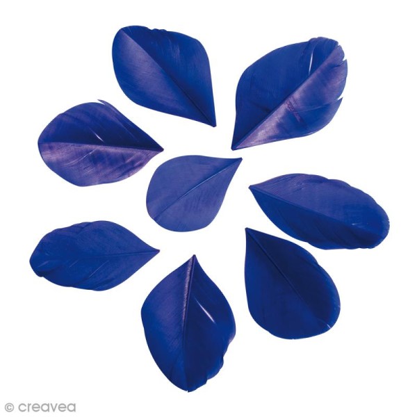 Plumes coupées Bleu royal 6 cm - 2 g - Photo n°1