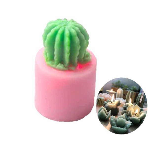 Cactus, Plantes Succulentes Petites, 3D en Silicone de Chocolat Savon Gâteau, Fondant Gâteau, Bougie - Photo n°1