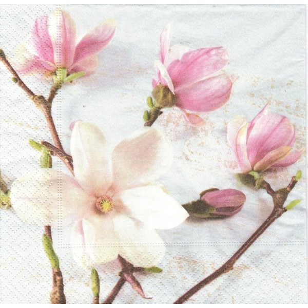 4 Serviettes en papier Magnolia Fleurs Format Lunch Decopatch 200236 Paper+Design - Photo n°1