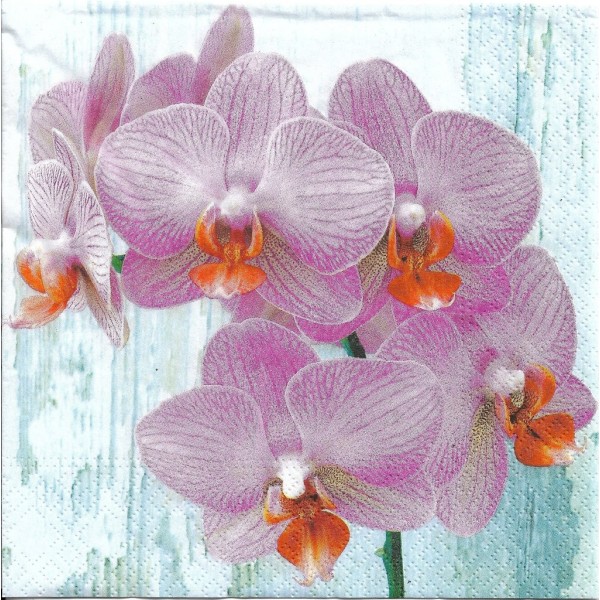 4 Serviettes en papier Orchidée papillon Fleurs Format Lunch Decoupage Decopatch 75311 Nouveau - Photo n°2