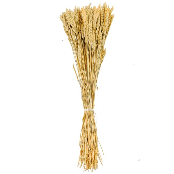 Bouquet de blé spiga d'oro - 38 cm. - Photo n°2