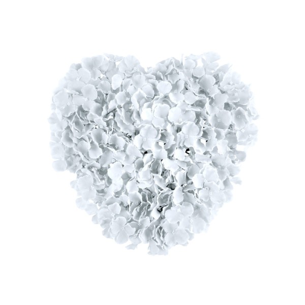 Coeur de fleurs blanc - Photo n°1