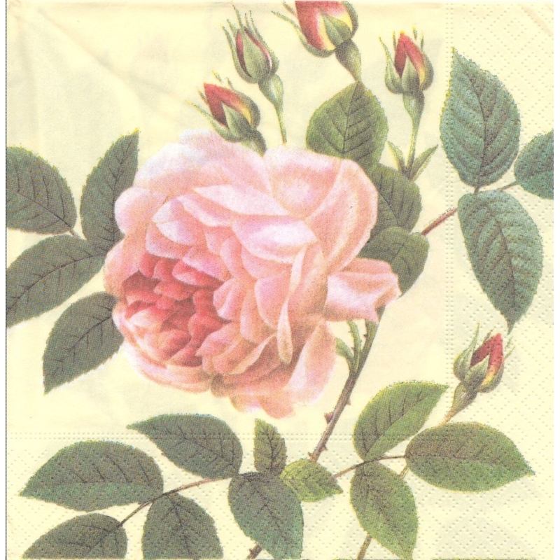Papier Serviettes de Table Rose Marguerites Pour Craft DECOUPIS Tea parties 221
