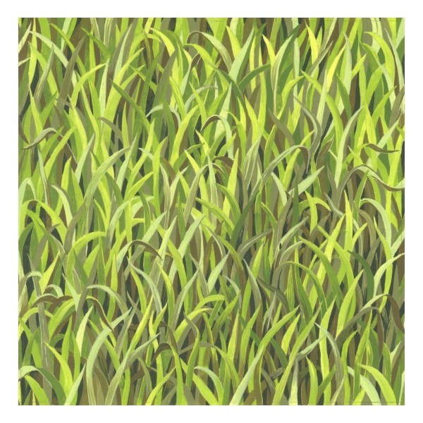 Tissu patchwork imitation herbes folles Dimensions:par 10 cm - Photo n°1