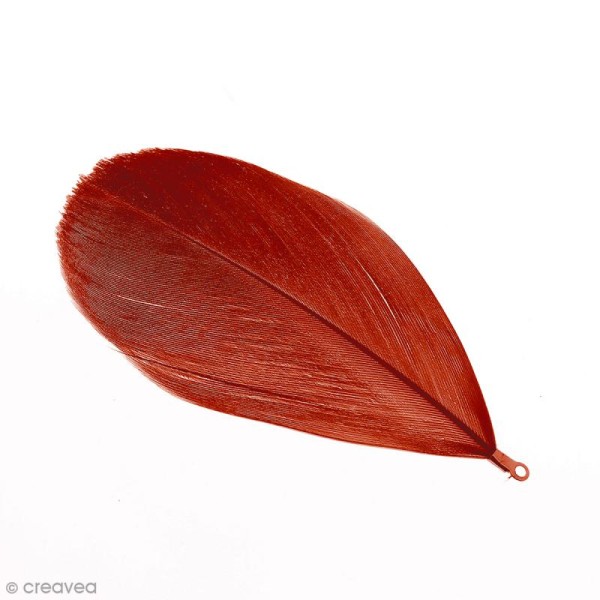 Pendentif plume Rouge bordeaux - 75 mm - Photo n°1