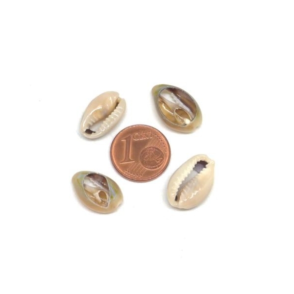 10 Perles Coquillage Cauris Beige Marbré Ouverts Tailles De 14mm À 17mm - Photo n°3