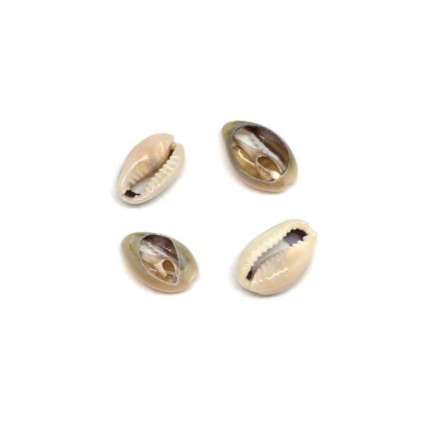 10 Perles Coquillage Cauris Beige Marbré Ouverts Tailles De 14mm À 17mm - Photo n°1