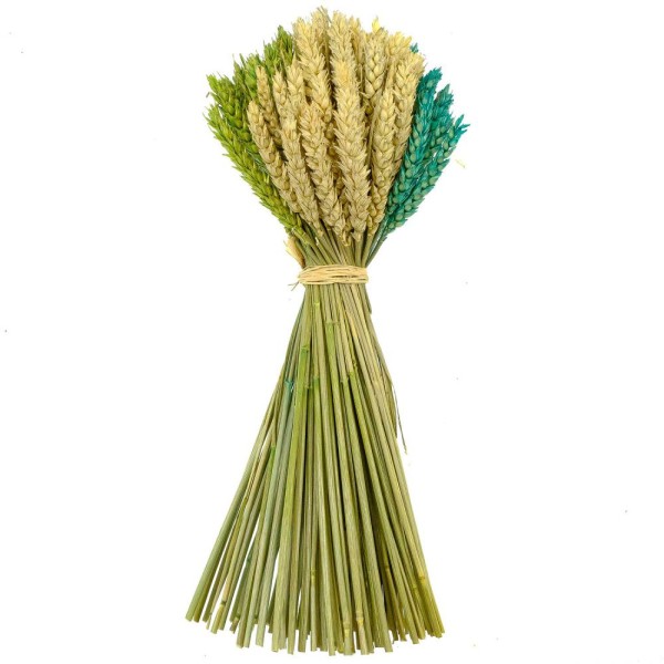 Bouquet de blé couleur vert et naturel - 35 cm. - Photo n°2