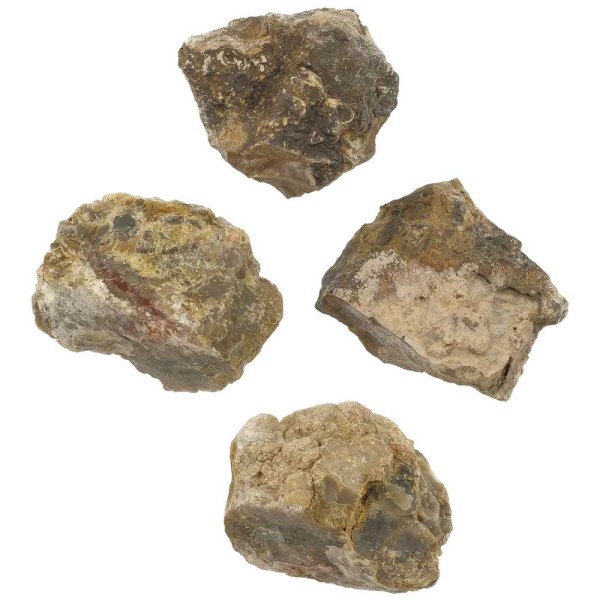 Coprolithe de dinosaure brut - 4 à 5 cm - A l'unité. - Photo n°2