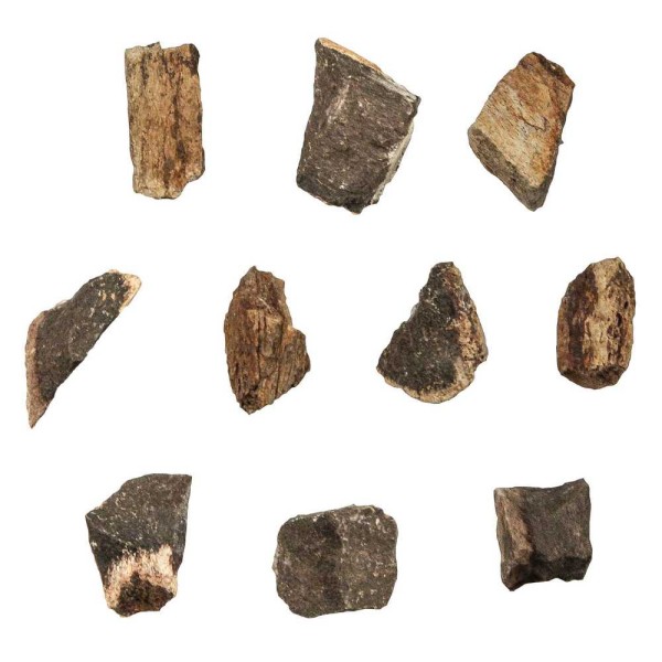 Fragment d'os de mammouth fossilisé - 2 à 3 cm. - Photo n°3