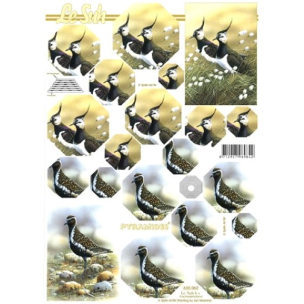 Carte 3D à découper - Oiseaux - 630062 - Photo n°1