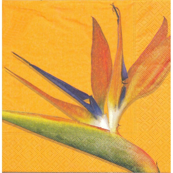 4 Serviettes en papier Fleur Oiseau de Paradis Format Lunch Decoupage LN0333 Colourful Life - Photo n°1