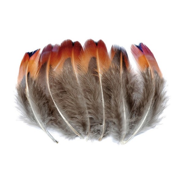 Lot de 2 Sachet de 2 gr de plumes de Faisan naturelle, 120 plumes, 4~10 cm, pour attrape rêves et dé - Photo n°1