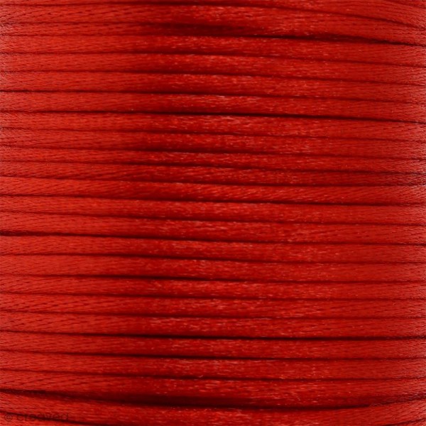 Cordon queue de rat Rouge - 2 mm - 25 mètres - Photo n°1