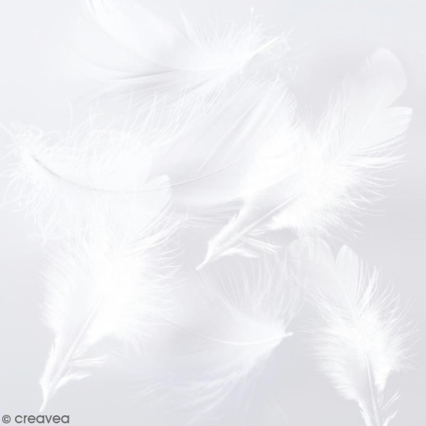 Plumes marabout - Blanches - 15 pcs - Photo n°1