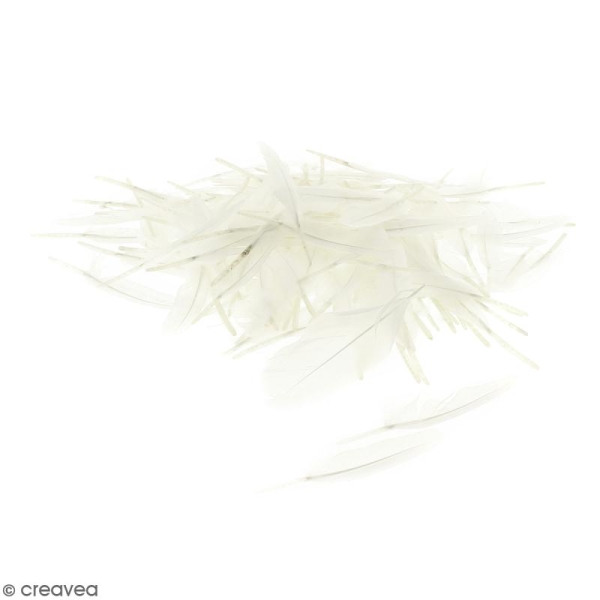 Plumes Indien - Blanches - 50g - Photo n°1