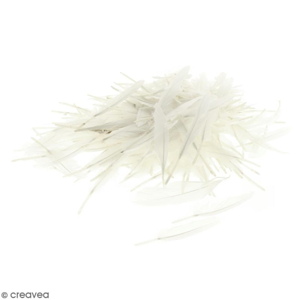 Plumes Indien - Blanches - 100g - Photo n°1