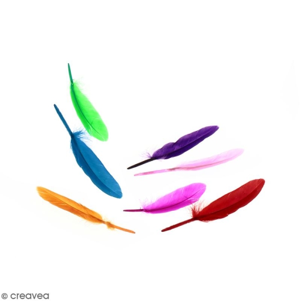 Plumes Indien - Multicolores - 10g - Photo n°1