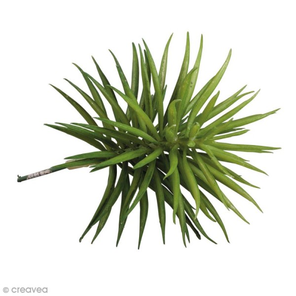 Plante artificielle - Senecio - Plastique - 10 x 9,5 cm - Photo n°1