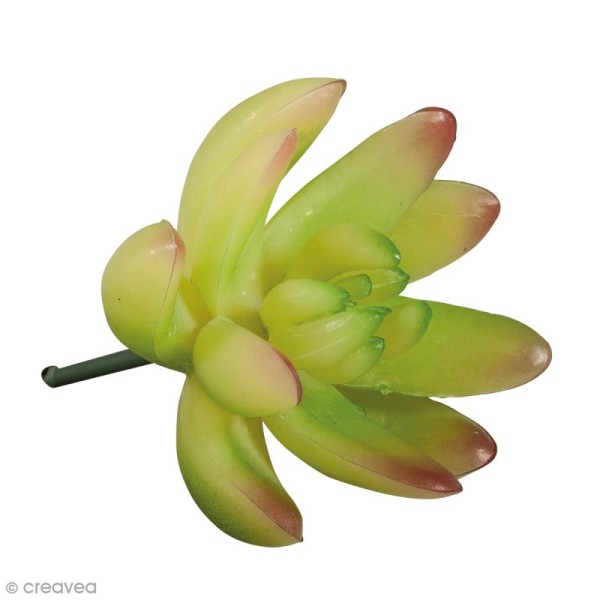 Plante artificielle - Echeveria vert clair - Plastique - 5,5 x 3,5 cm - Photo n°1