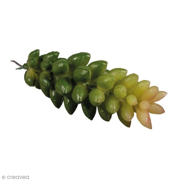 Mini plante artificielle - Crassula - Plastique - 2,5 x 6,5 cm - Photo n°1