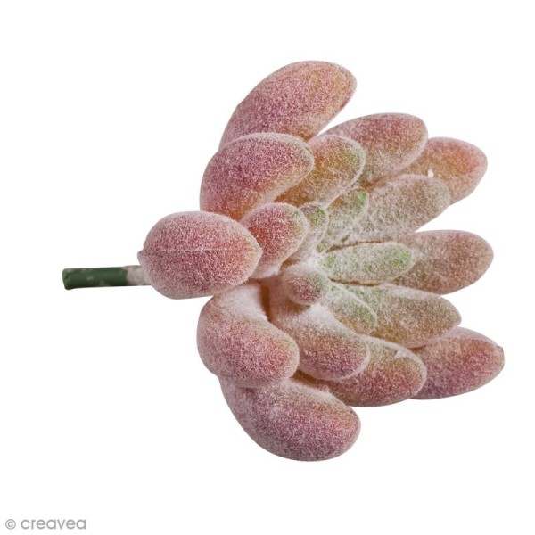 Mini plante artificielle - Echeveria - Plastique - 4 x 2,5 cm - Photo n°1