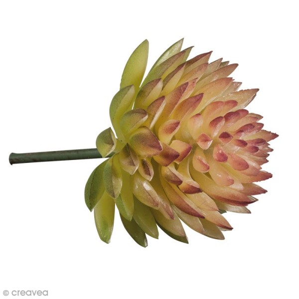 Mini plante artificielle - Echeveria - Plastique - 4,5 x 3 cm - Photo n°1