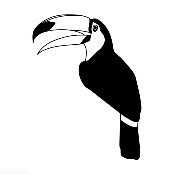 Tampon bois Oiseau toucan - 5 x 7 cm - Photo n°1