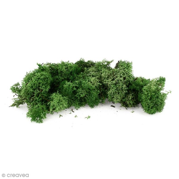Lichen scandinave stabilisé - Vert Nature - 50 g - Photo n°1