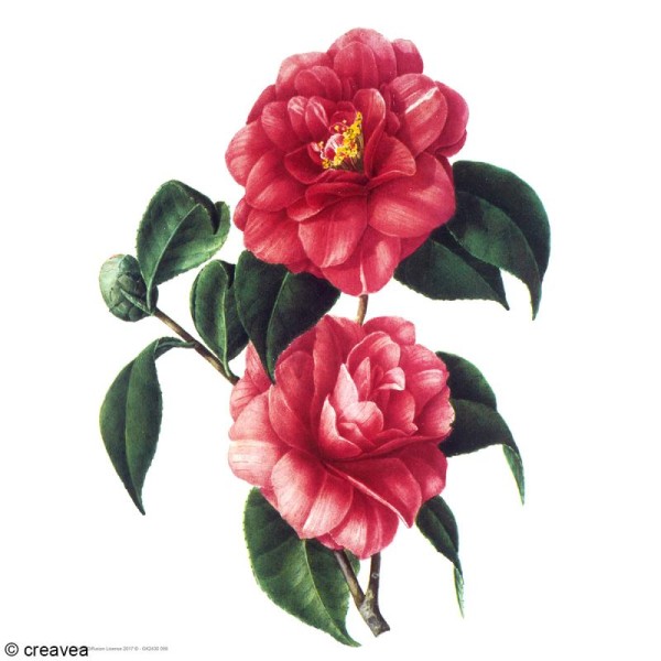 Image 3D Fleur - Fleurs rouges - 24 x 30 cm - Photo n°1