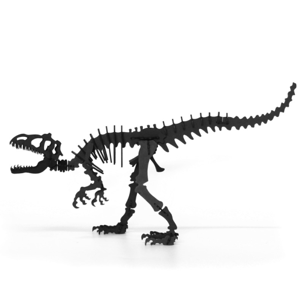 Tyrannosaure en carton - Photo n°2