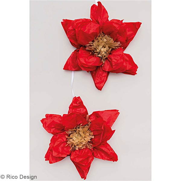 Fleurs en papier de soie - Rouge - 25 cm de diamètre - 2 pcs - Photo n°2