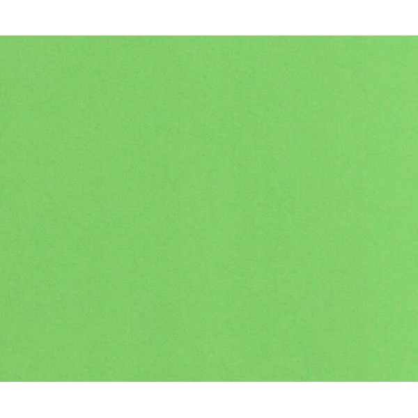 La couleur du Papier, (10pcs) A4 Vert clair à 220 g / M2, Cartes de Bricolage, Fournitures d'Art, Ar - Photo n°1