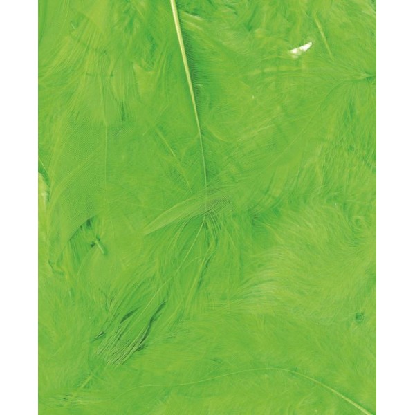 Plumes duvetées vert - Artemio - 6 à 12 cm - 3 gr - Photo n°1