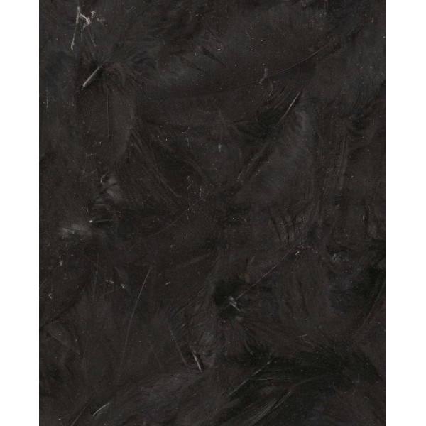 Plumes duvetées noir - Artemio - 6 à 12 cm - 3 gr - Photo n°1