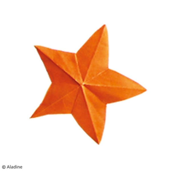 Kit Origami - Tableau Mer - Photo n°3