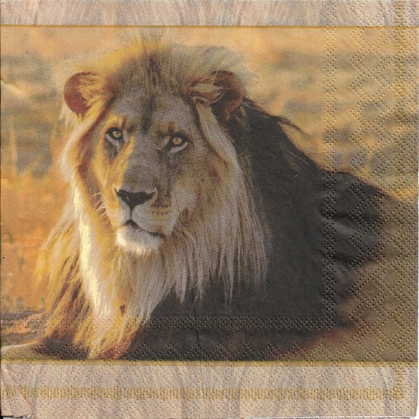 4 Serviettes en papier Lion Afrique Format Lunch Decoupage Decopatch 13305645 Ambiente - Photo n°1