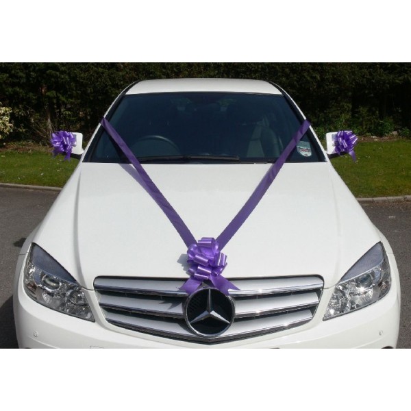 Kit de décoration voiture mariage parme - Photo n°1